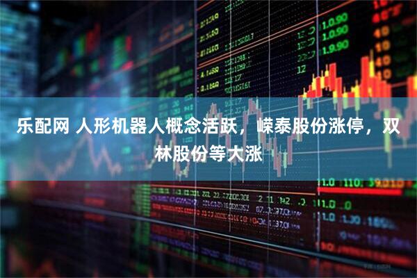 乐配网 人形机器人概念活跃，嵘泰股份涨停，双林股份等大涨