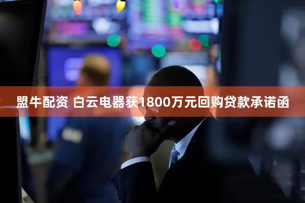 盟牛配资 白云电器获1800万元回购贷款承诺函