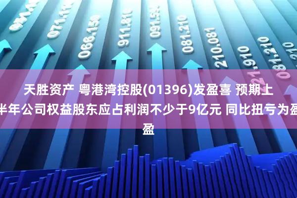 天胜资产 粤港湾控股(01396)发盈喜 预期上半年公司权益股东应占利润不少于9亿元 同比扭亏为盈
