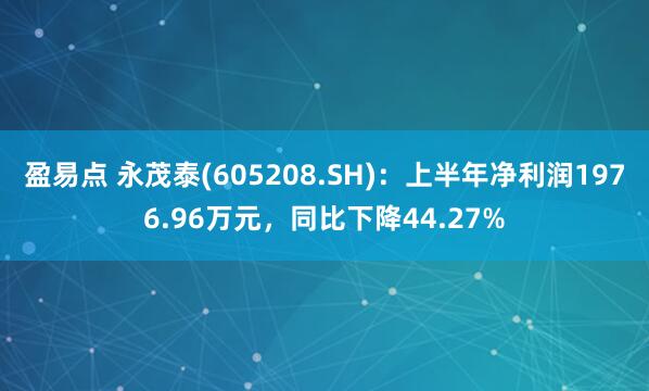 盈易点 永茂泰(605208.SH)：上半年净利润1976.96万元，同比下降44.27%
