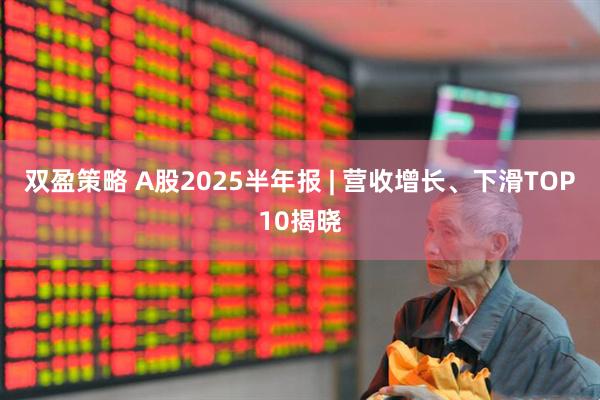 双盈策略 A股2025半年报 | 营收增长、下滑TOP10揭晓