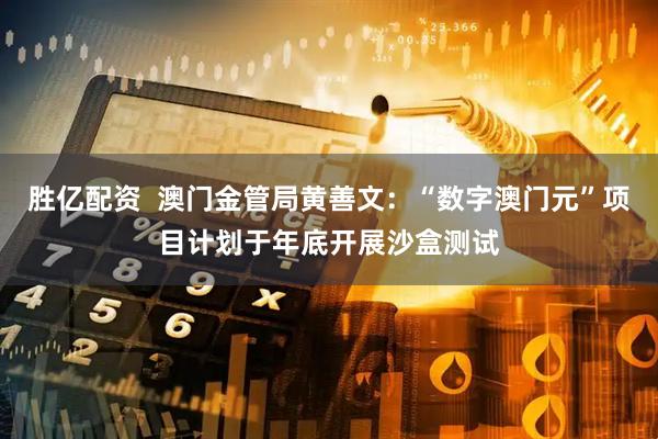 胜亿配资  澳门金管局黄善文：“数字澳门元”项目计划于年底开展沙盒测试