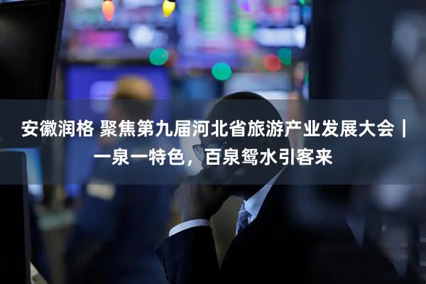 安徽润格 聚焦第九届河北省旅游产业发展大会｜一泉一特色，百泉鸳水引客来
