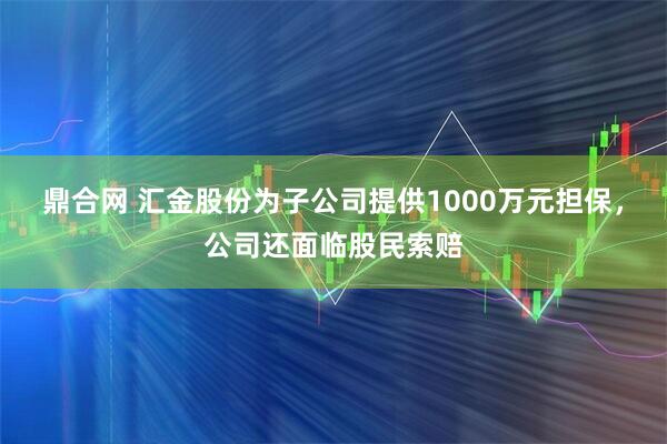鼎合网 汇金股份为子公司提供1000万元担保，公司还面临股民索赔