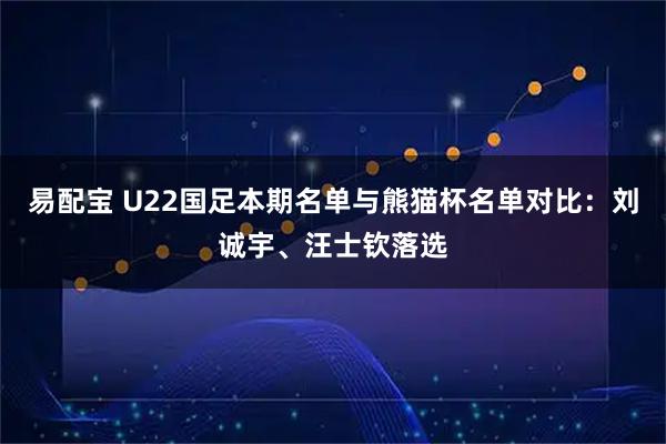 易配宝 U22国足本期名单与熊猫杯名单对比：刘诚宇、汪士钦落选