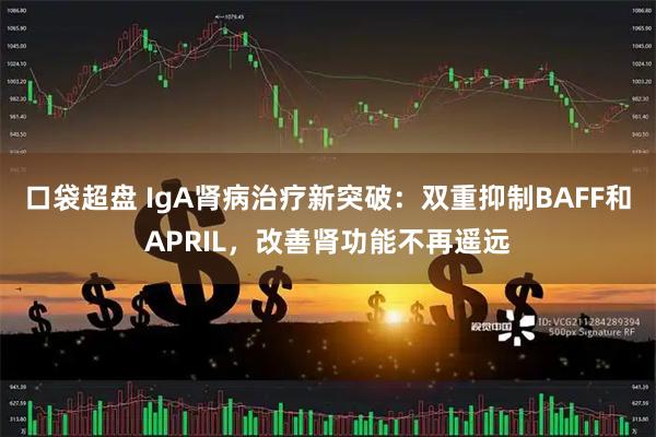 口袋超盘 IgA肾病治疗新突破:双重抑制BAFF和APRIL,改善肾功能不再遥远