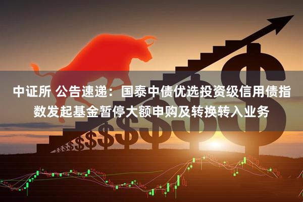 中证所 公告速递:国泰中债优选投资级信用债指数发起基金暂停大额申购及转换转入业务